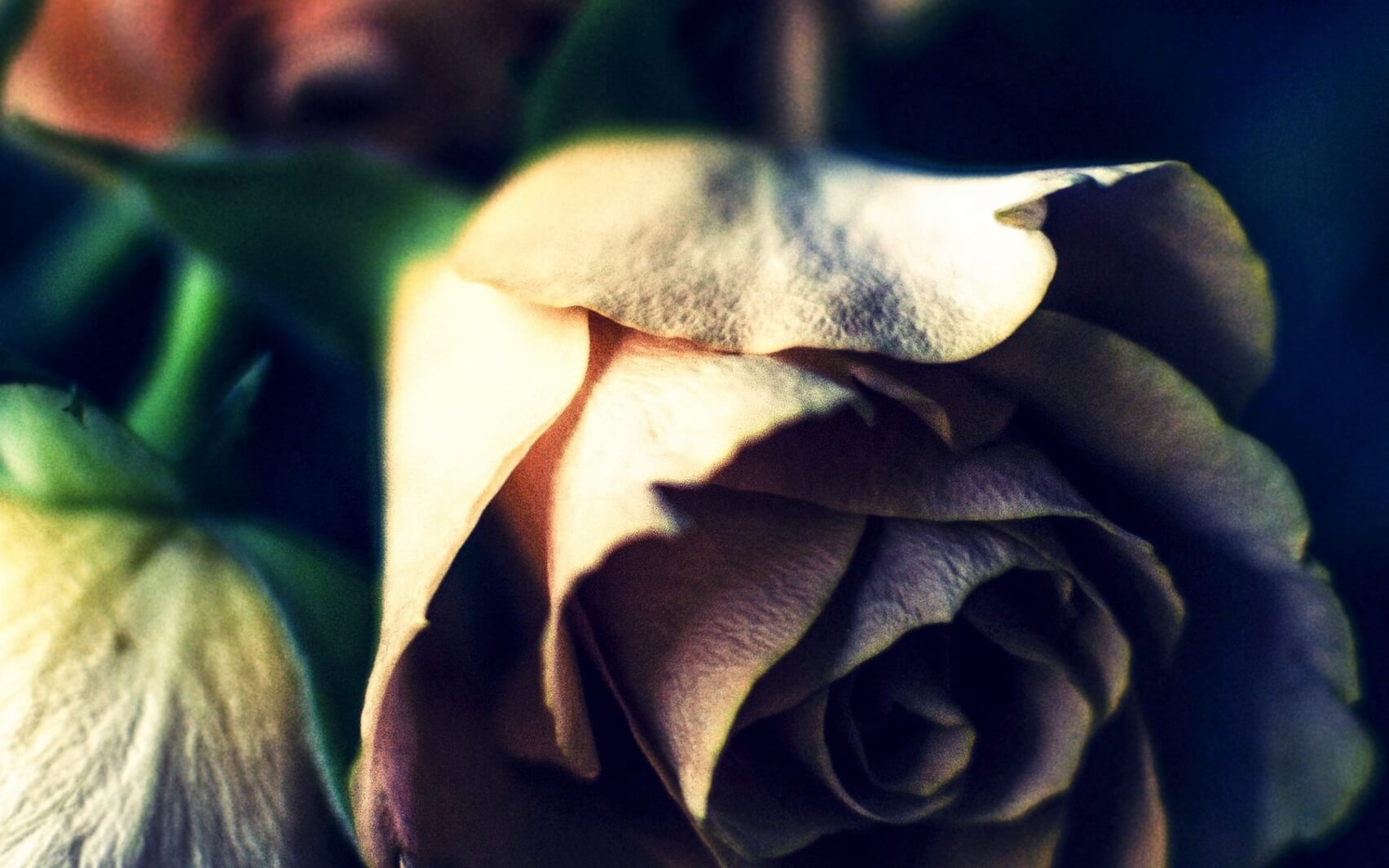 Self Love Meditation