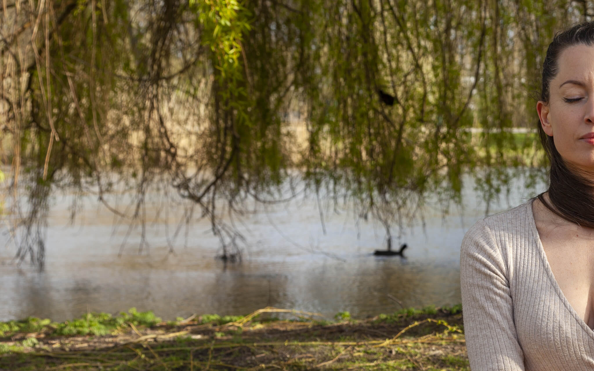 Recover From Traumatic Events