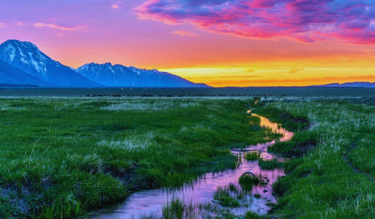 Relaxation Totale | Sieste Ressourçante