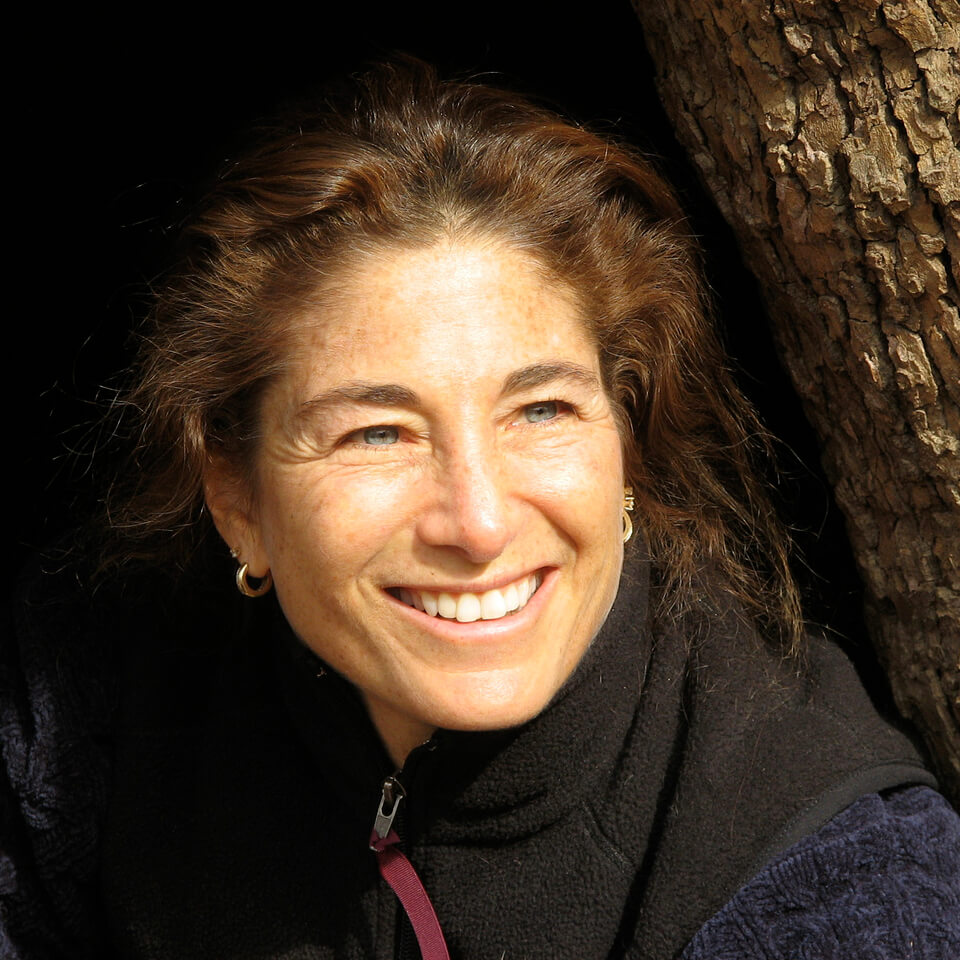 Breath And Awareness