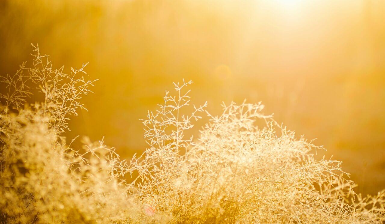 12 Minute Call Your Energy Back To You