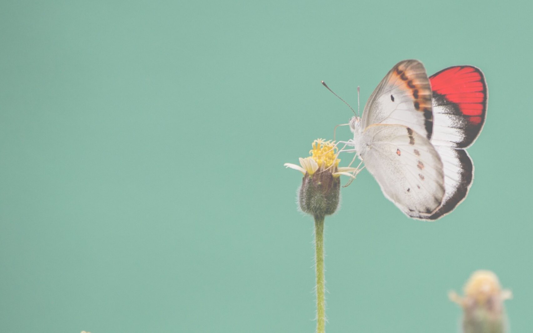 Controlling Emotions Increases That Overwhelmed Feeling