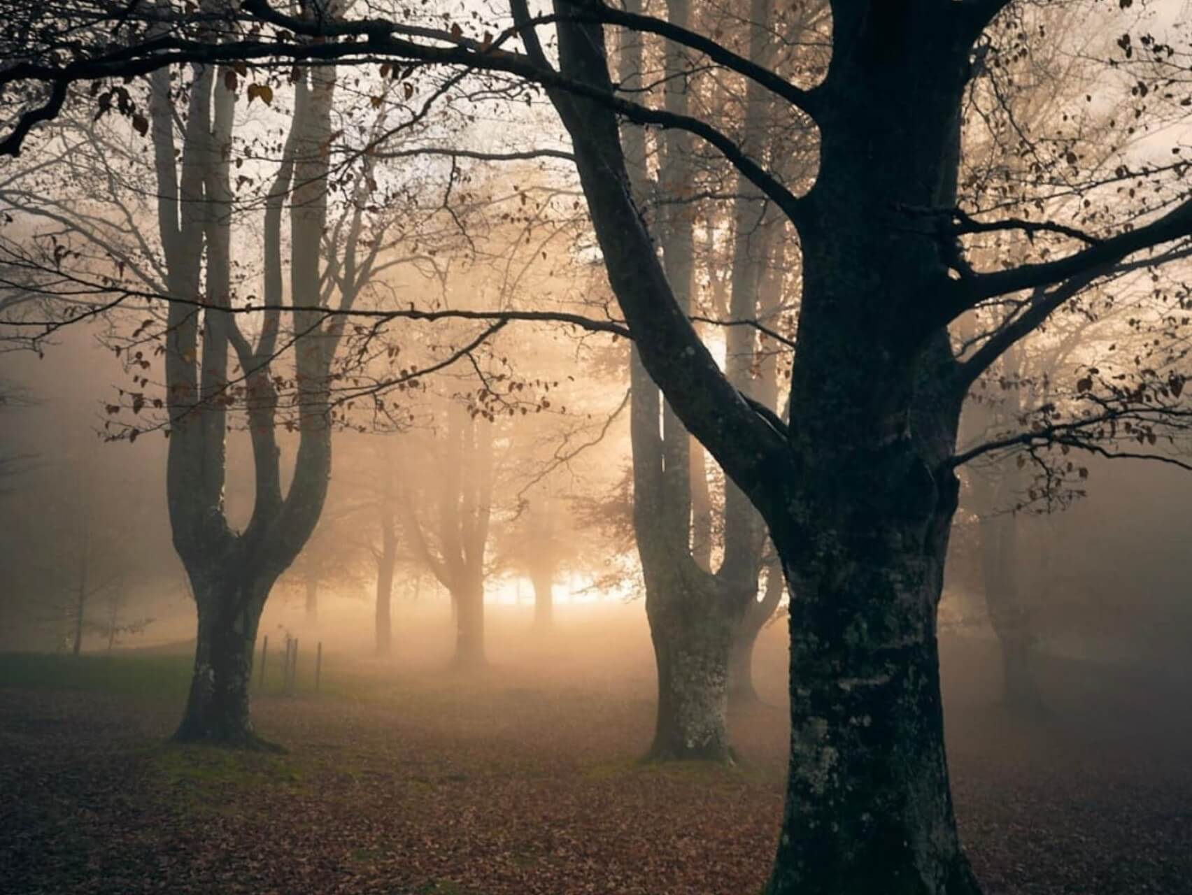 Las Cuatro Estaciones