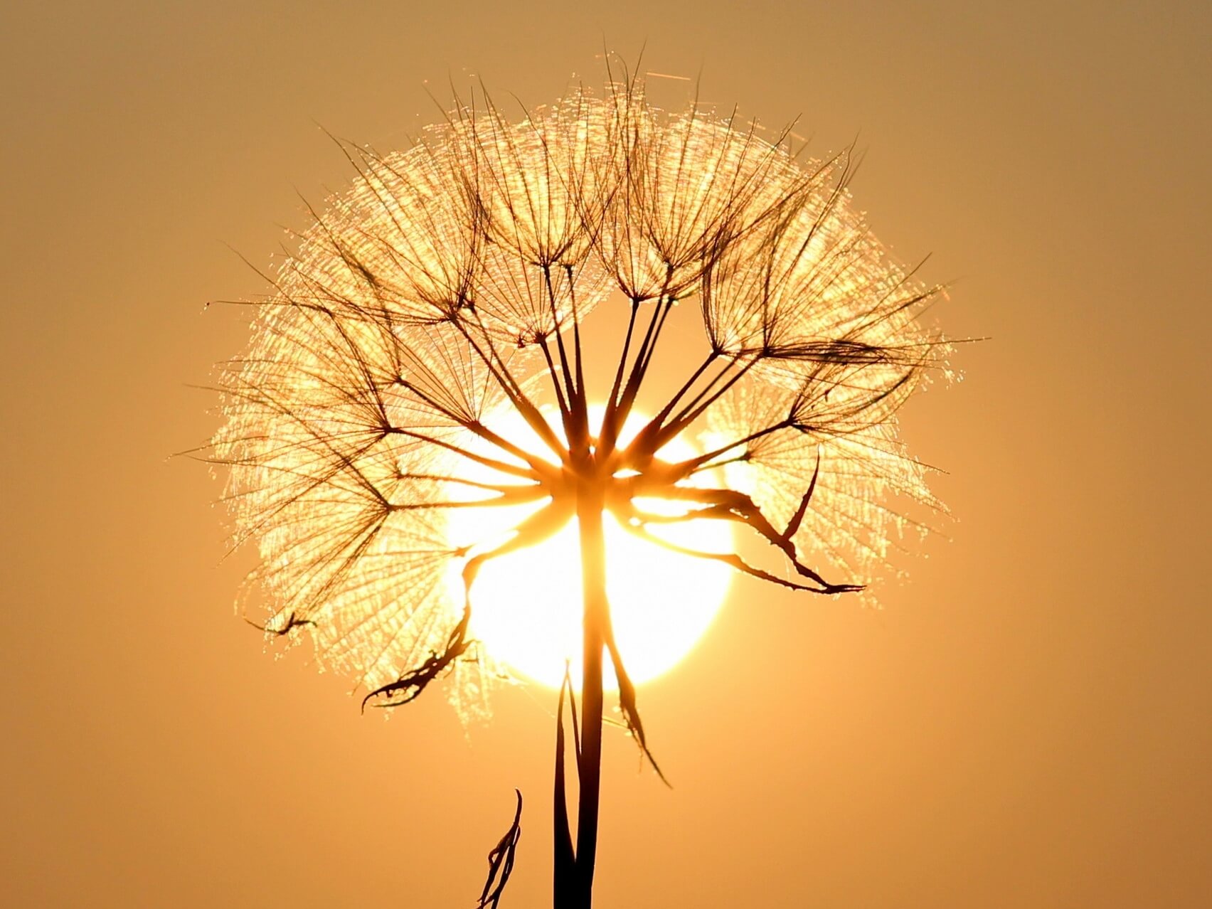 For Trauma Survivors: 3 Tips For A Positive Meditation