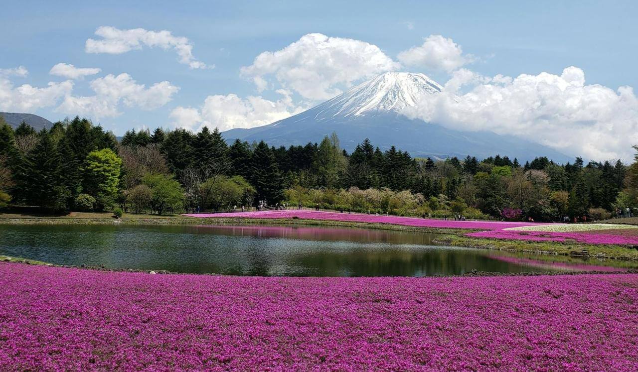 Mindfulness Y Emociones