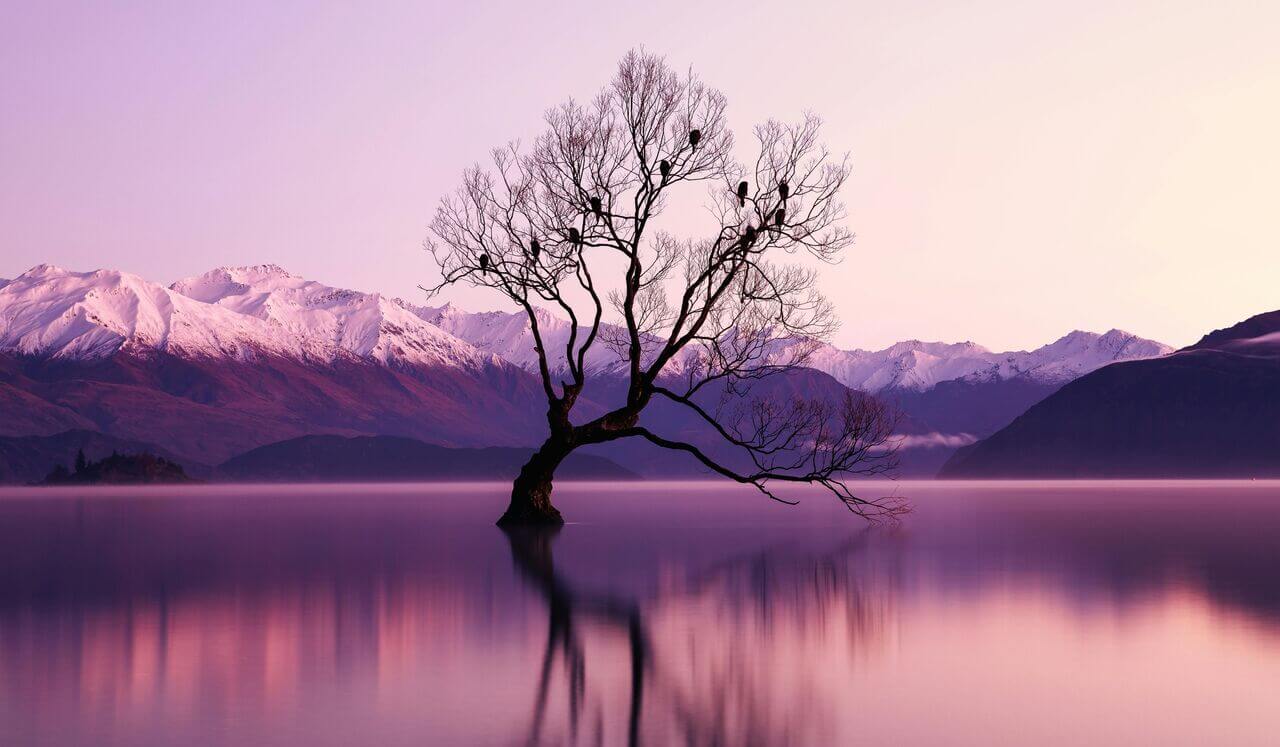 Energy Healing For The Heart