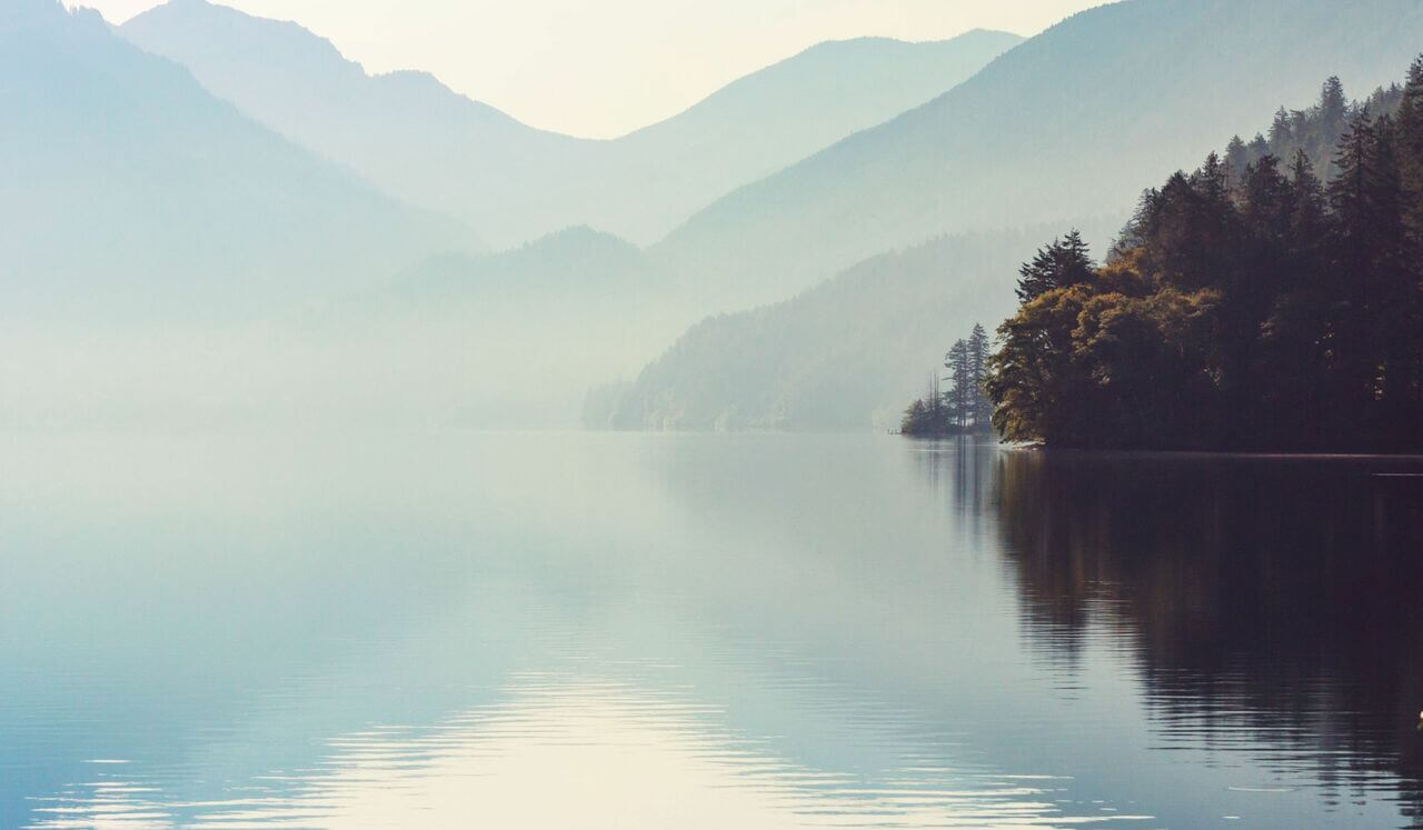 Nervous System Regulation: Attain Quick Calm In 10 Min