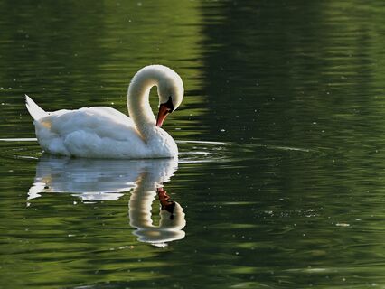 Clear Your Fear: Part 3 - by Alice Langholt