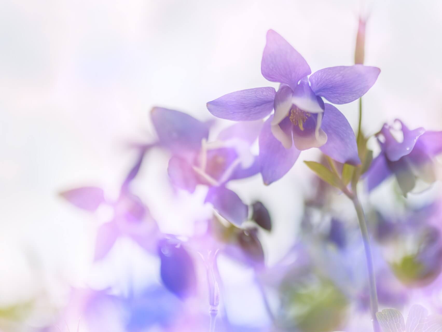 Breathe And Release: A Guided Meditation For Letting Go