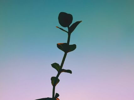 Your Reiki Day: Level 2 - by Keziah Gibbons