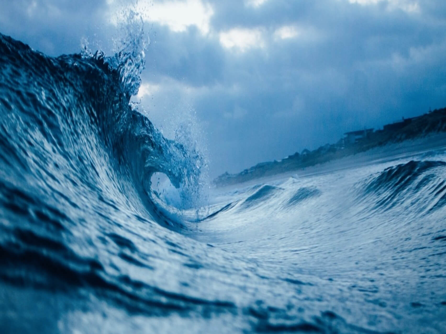  Nature Sounds: Playful Dolphins In Water