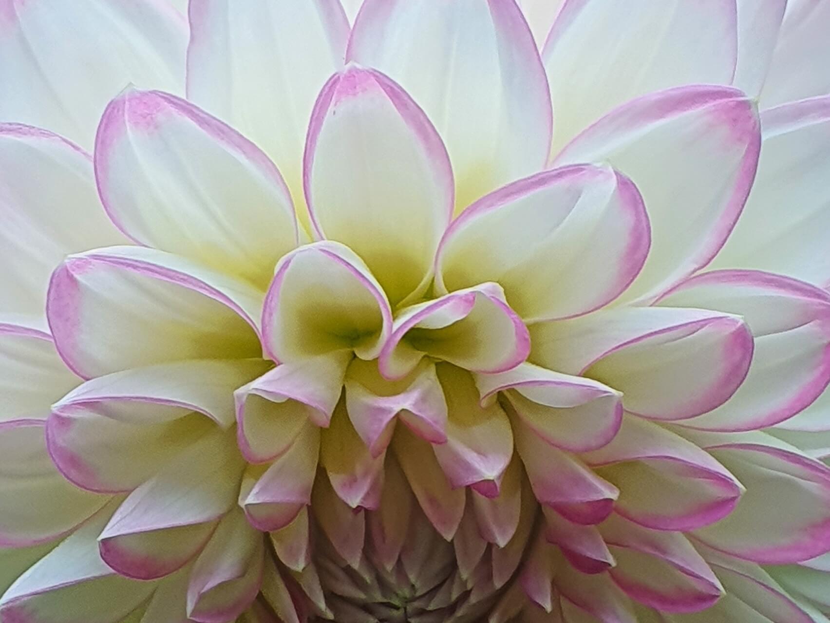 Chronic Pain Validation And Empowerment