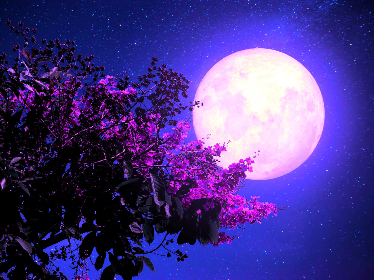 Deep Sleep Meditation With Affirmations: Self Love, Patience, Detachment & Fullfilment