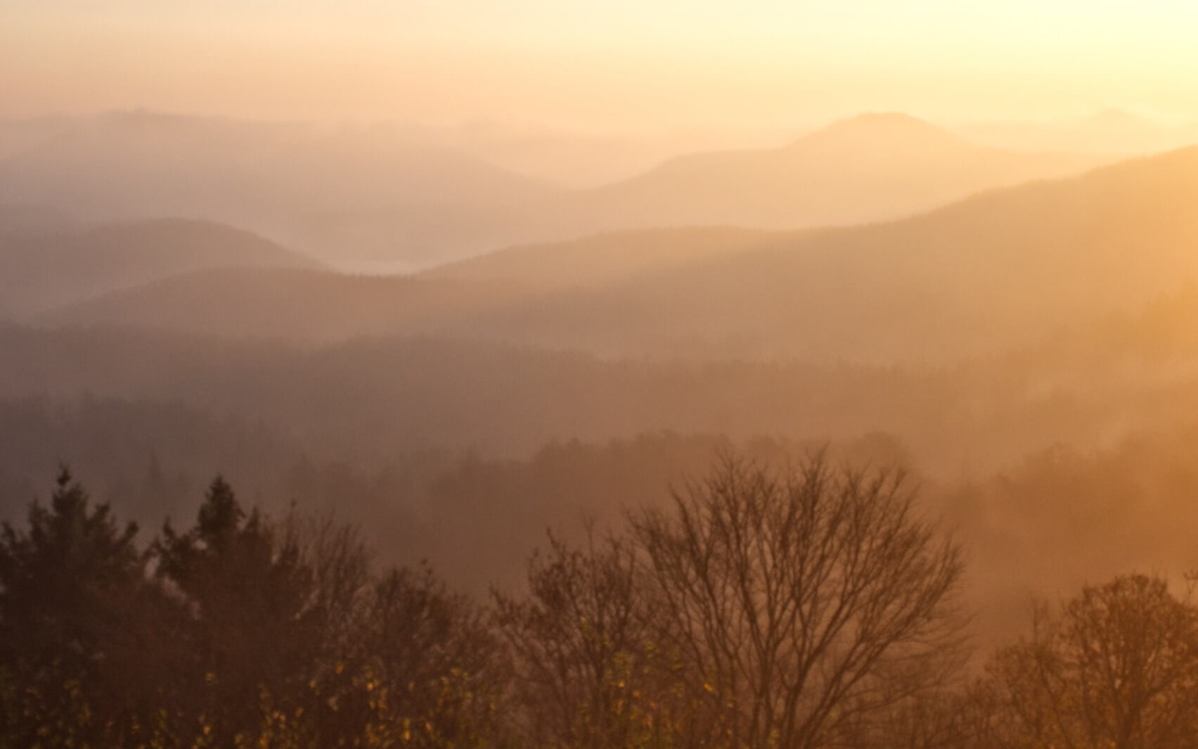 Morning Handover For Addiction Recovery