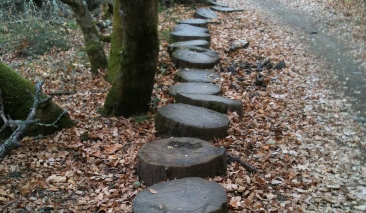 Psalm For Those Afflicted With Lyme Disease