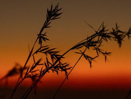 Understanding And Recovering From Burnout - by Olga Ruiz Pilato