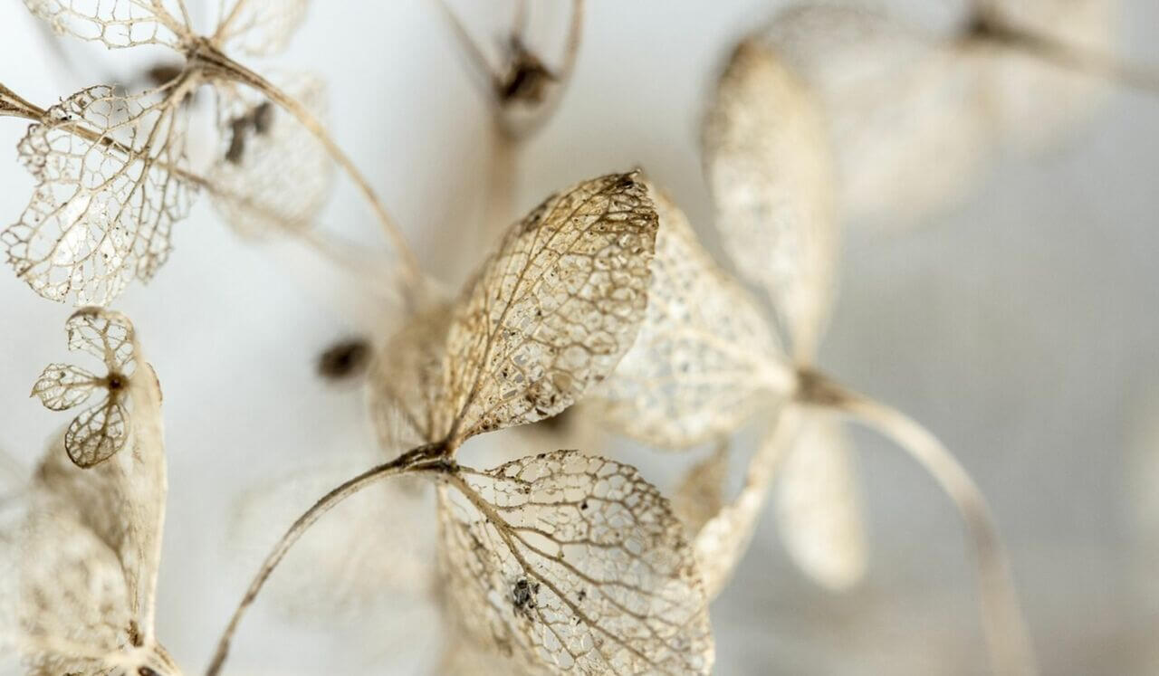 Mindfulness Breathing To Relieve Stress And Anxiety