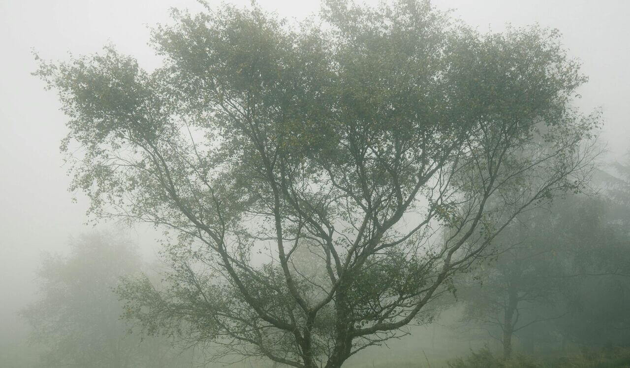 Embracing Your Inner Child