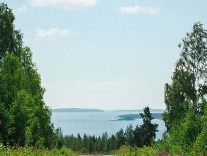 Letting Go Of The Struggle: A Path To Ease And Freedom - by Kiran Patel