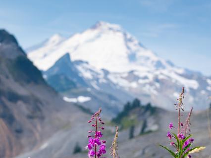 Yoga Sutra 1.1 : The Invitation To Begin Yoga