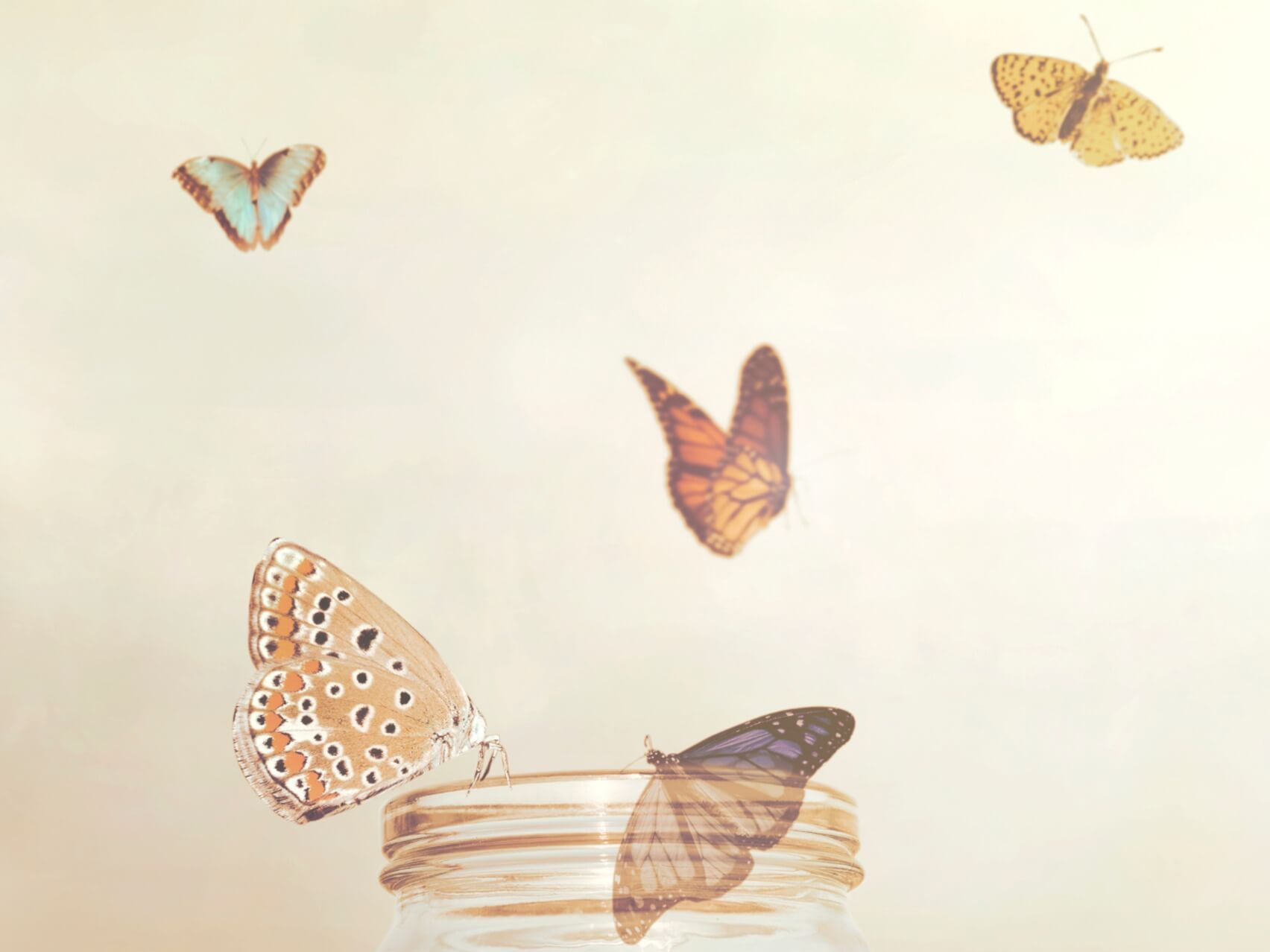 Soul Travel Yoga Nidra (With Sankalpa)