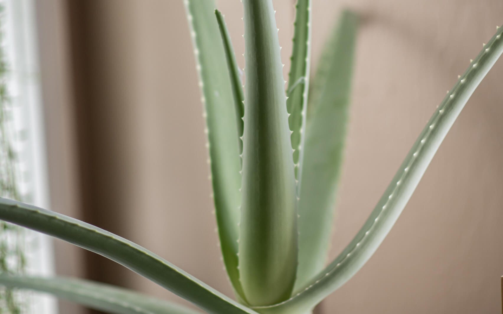 Breath Break : Box Breath 