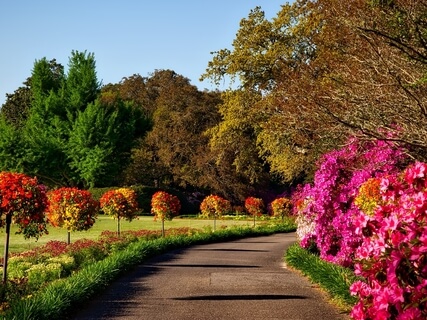 Soft Piano For Inner Peace