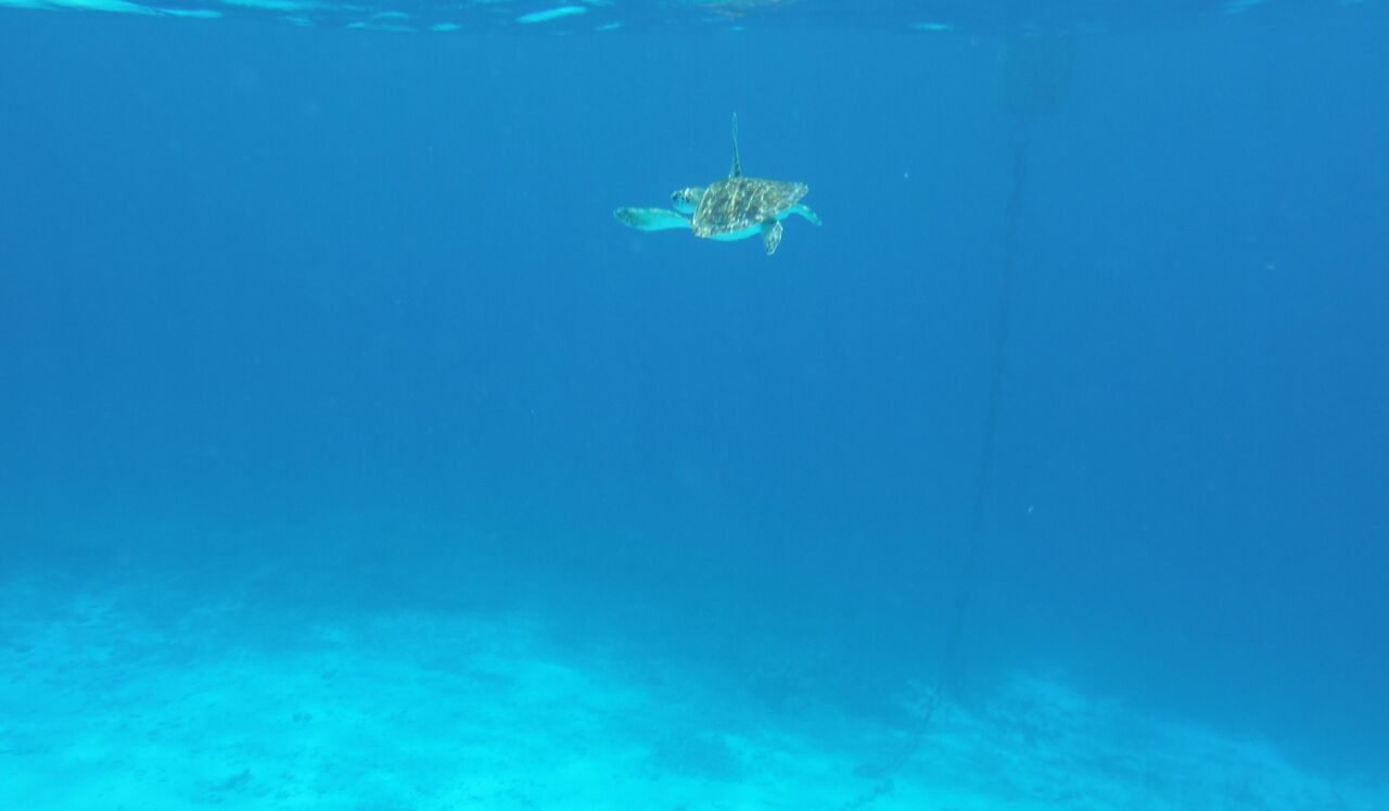 Increase Focus & Mental Clarity Music