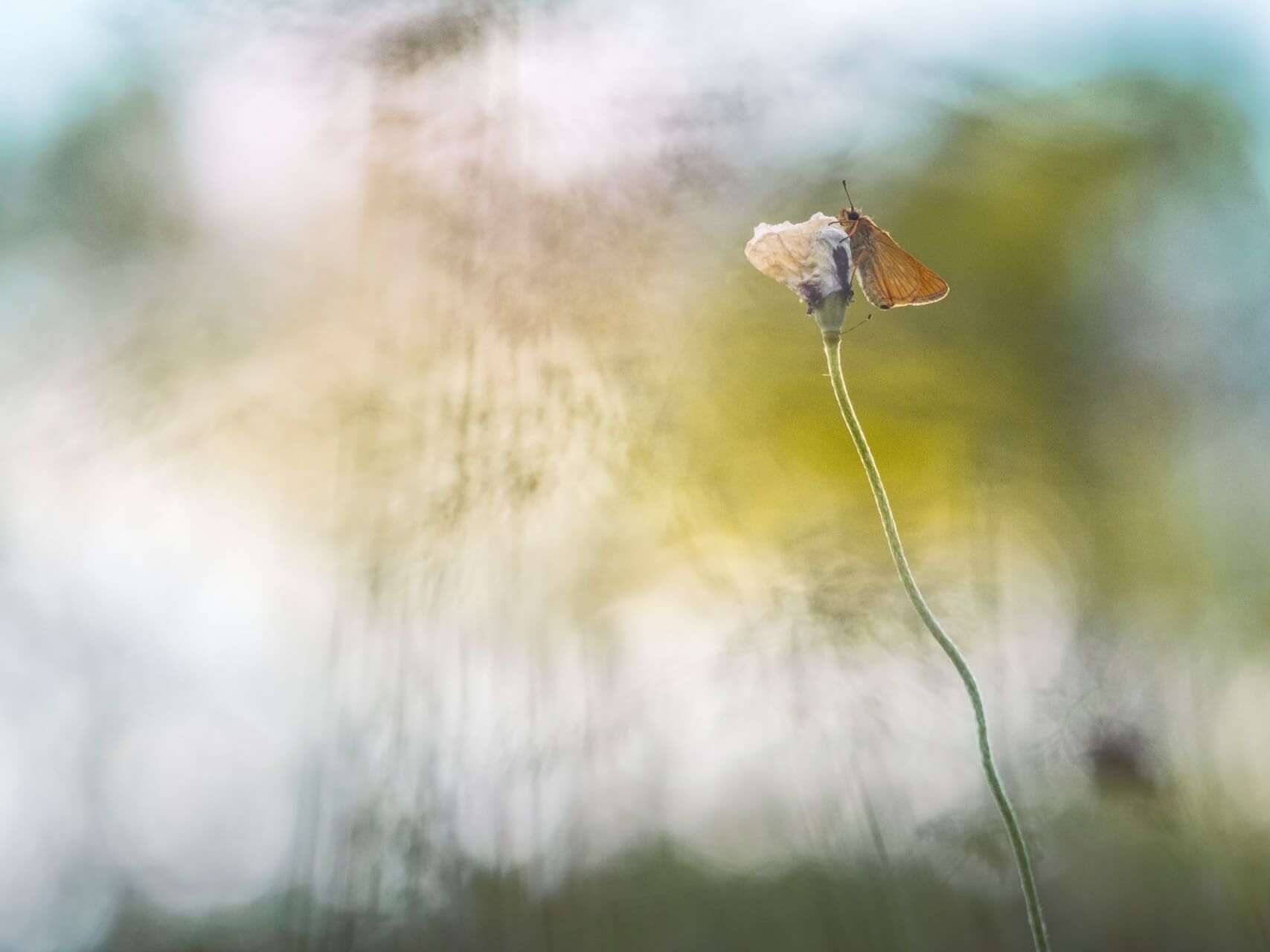 Heart Of Umoja - Meditation Music - Calm Relaxing Ambient Nature Sounds