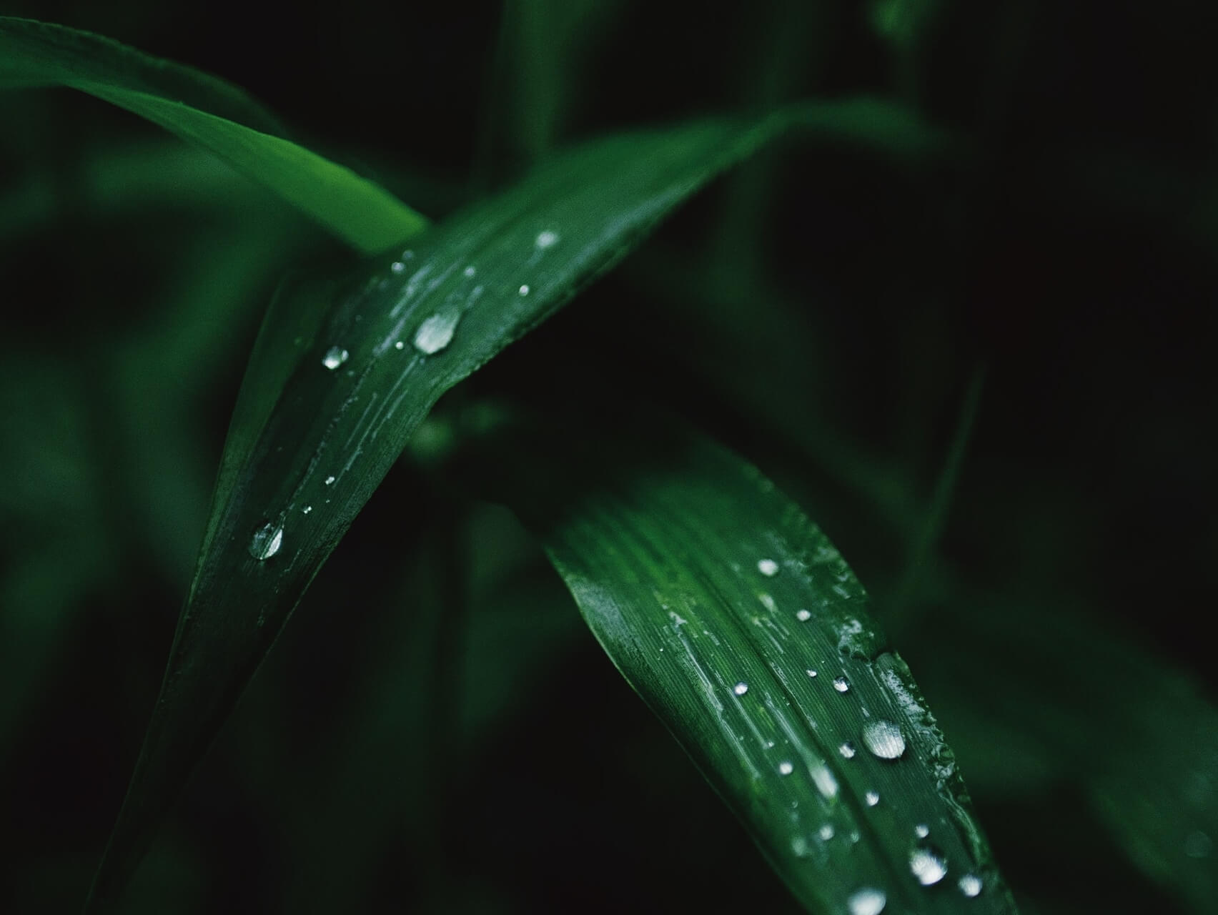 Deep Healing Relaxation