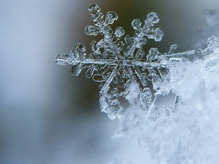 Gratitude For The Returning Light — A Winter Journey Of Reflection & Renewal - by Gabriella Moon