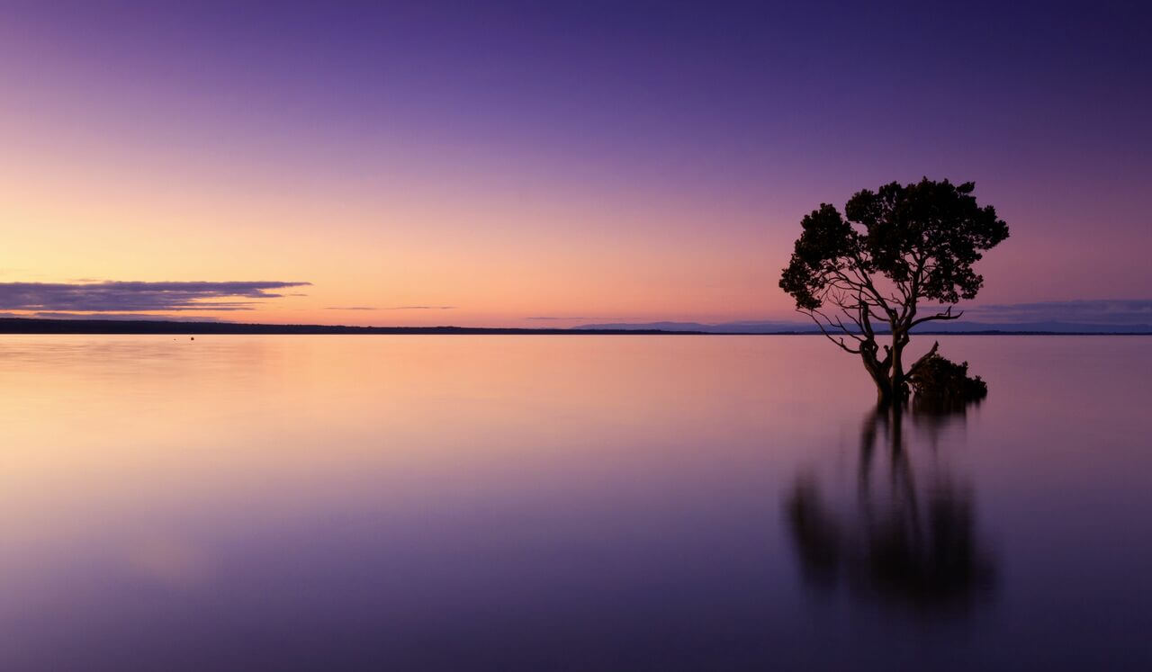 Level 2 Reiki Daily Practice: Earth And Heavenly Ki