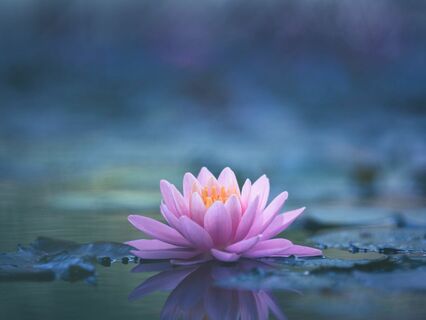 Navigating Darkness: Finding Meaning And Healing In The Depths Of Hardship - by Ellen Mouton