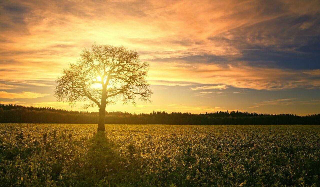 Peur du jugement des autres