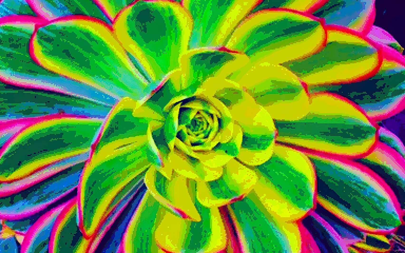 The Art Of Creating A Feeling Of Safety