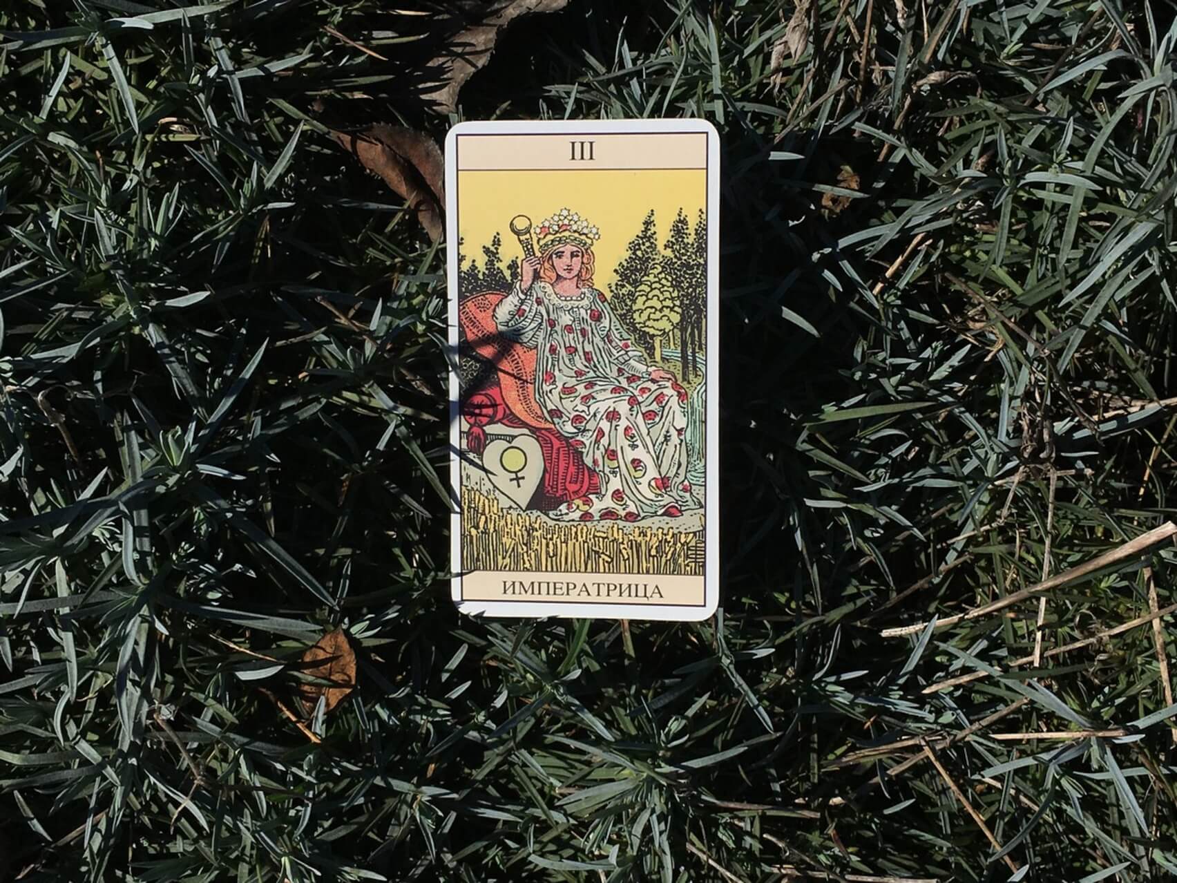 Tarot Reading For The Earth