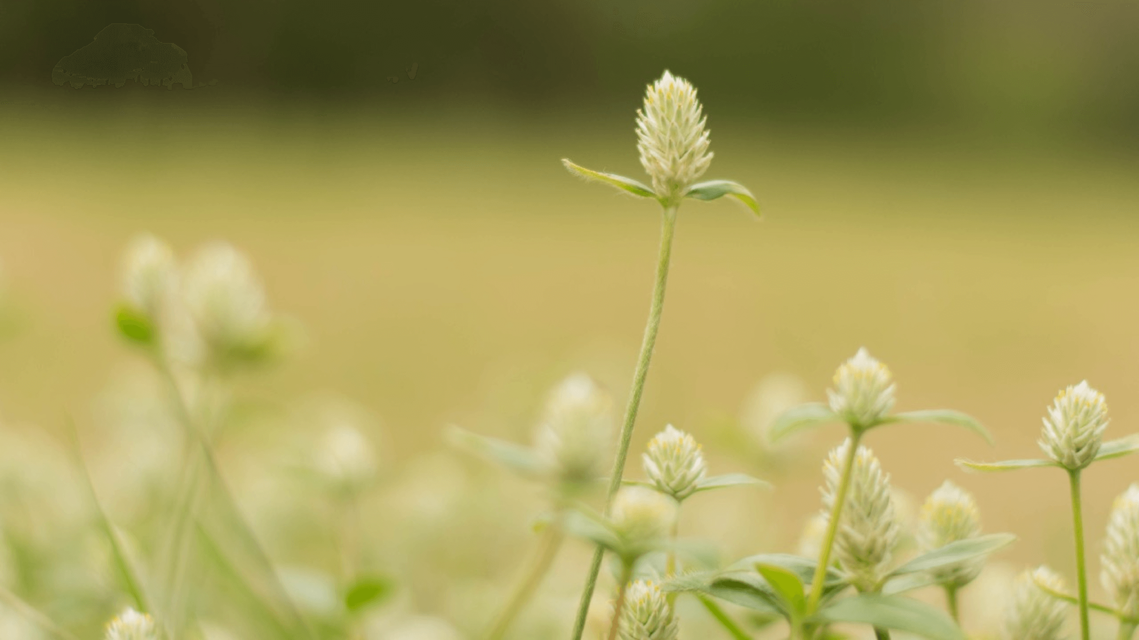 Boost Your Self-Esteem  - 10 Min Daily Insight