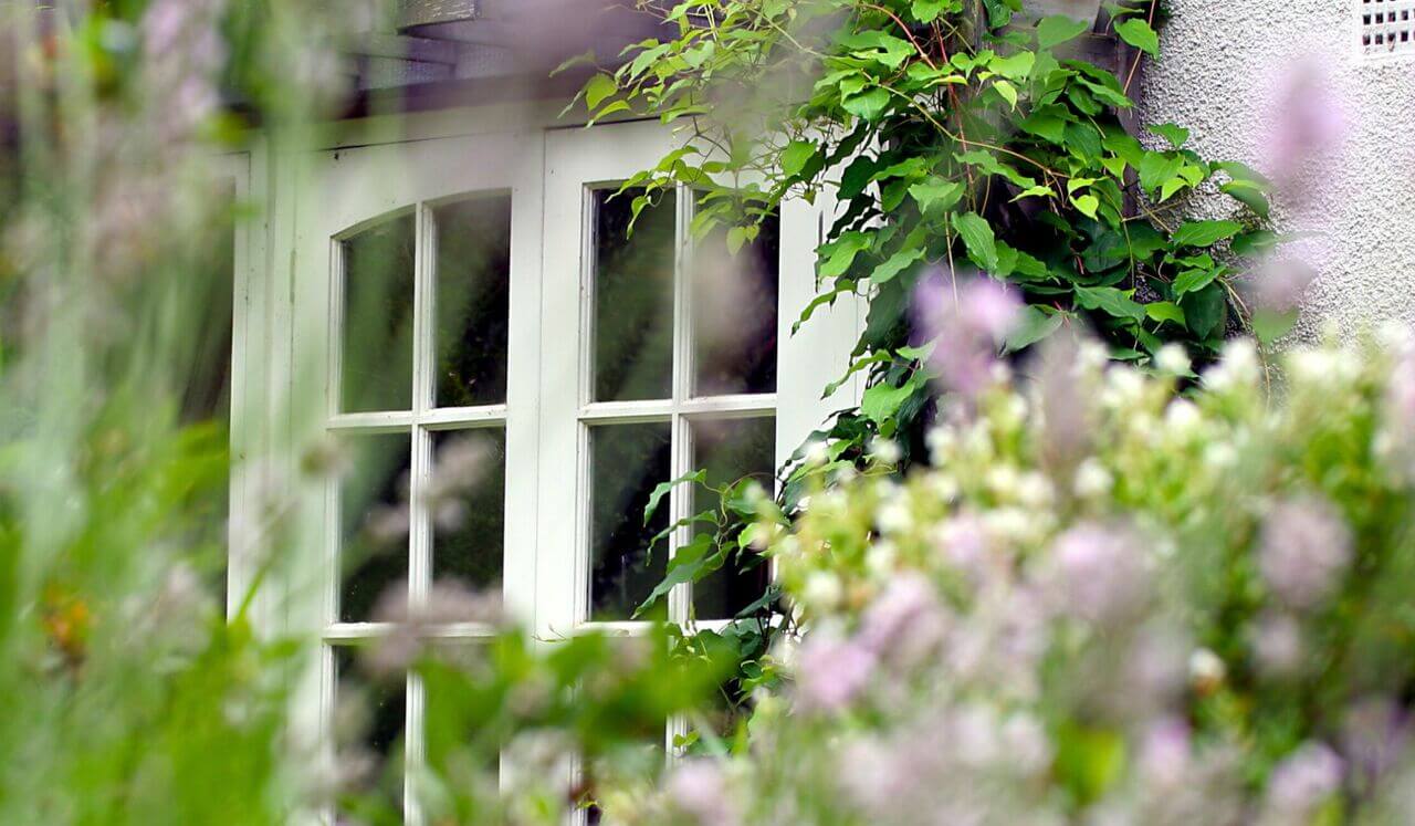 Bedtime Story: Maida's Little Shop Pt. 1