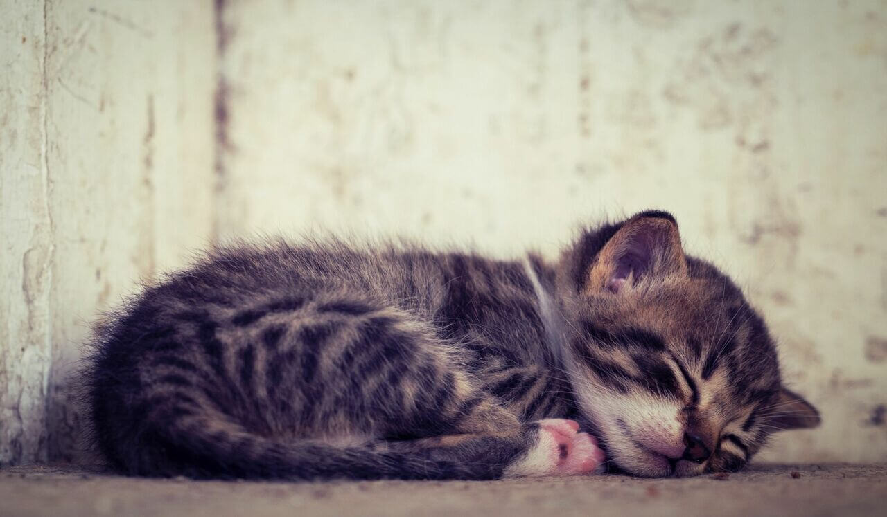 Yoga Nidra: Soothing The Nervous System 528Hz