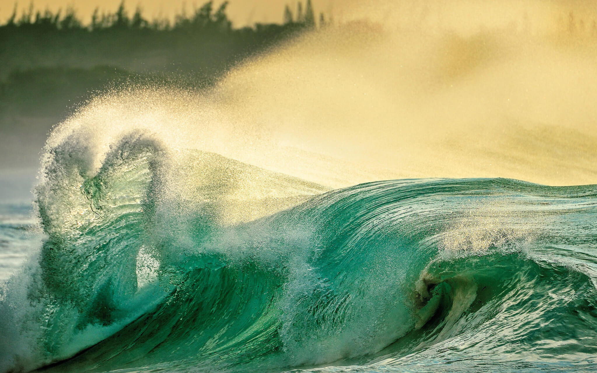 Bondade Amorosa e Compaixão