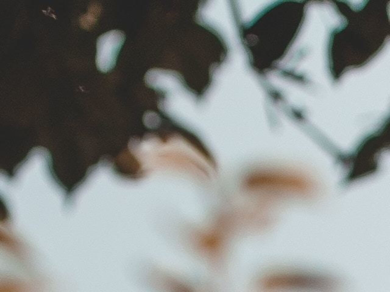 Yoga Nidra - Through The Body Into The Soul