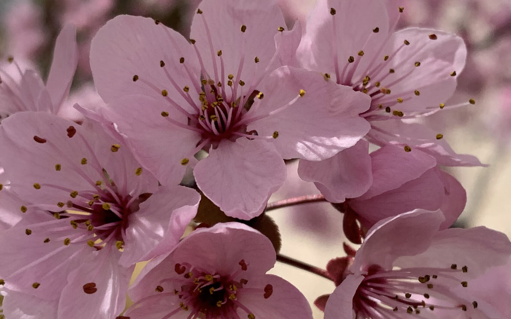 EFT For Self-Love And Acceptance