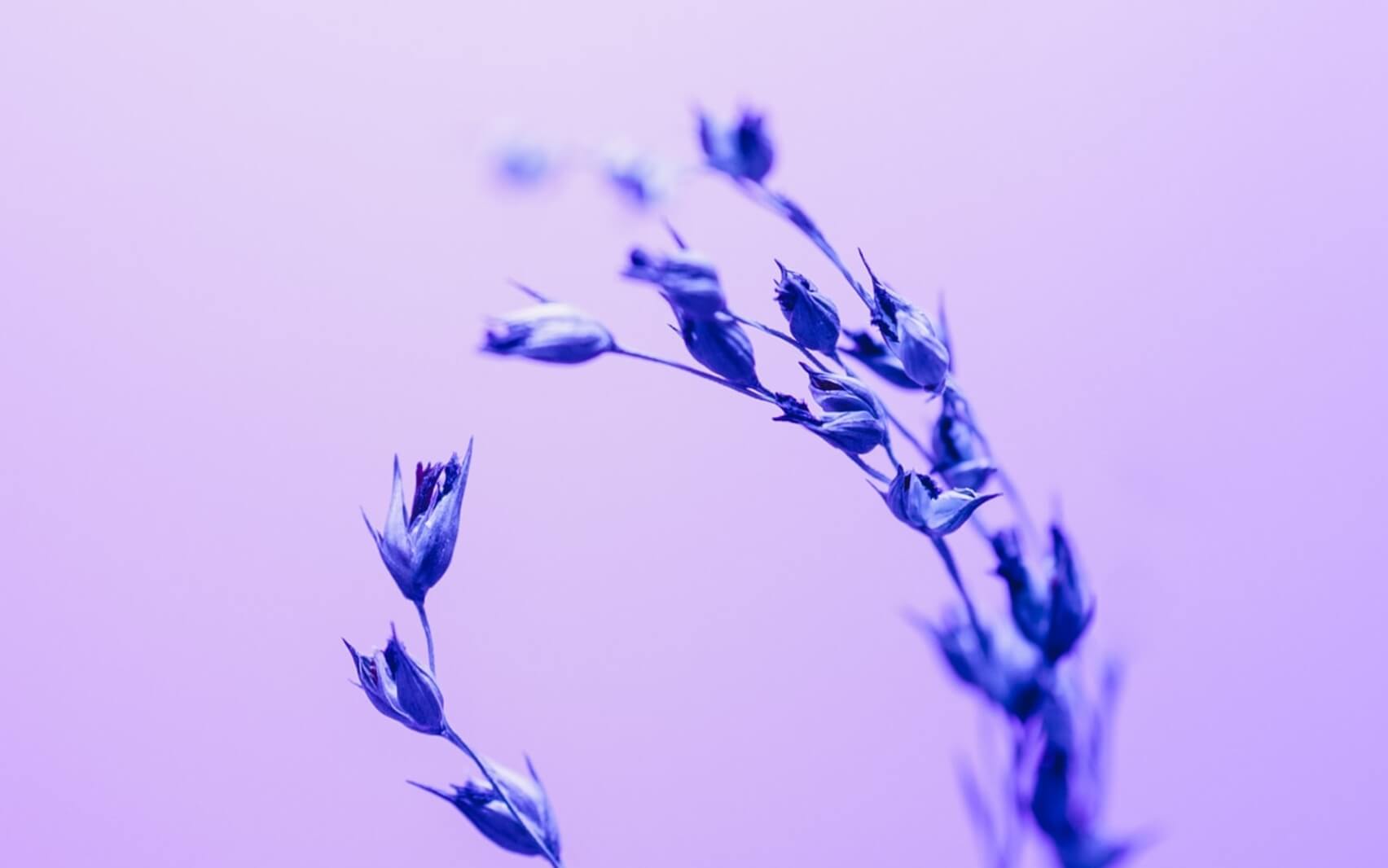 Navigating The Nervous System