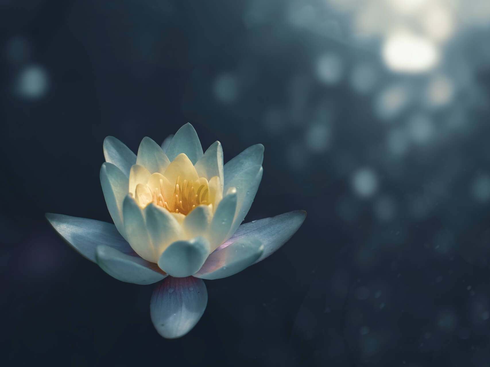 Affirmations For Worthiness & Value