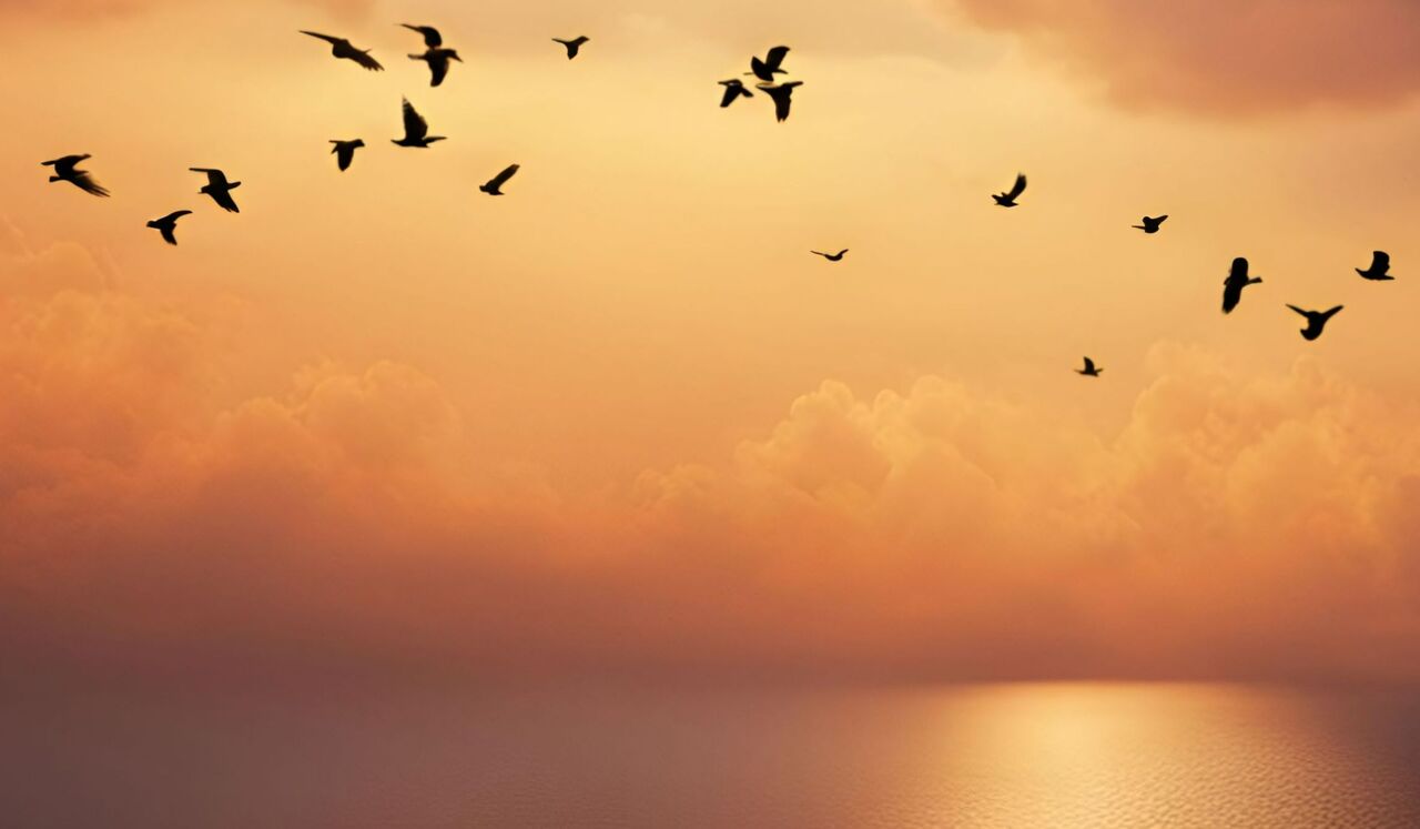 5 Minutos Para Un Despertar Suave Y Consciente