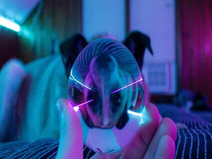 Raising A Puppy: A Bhakti Yogi’s Guide - by Anuj Kotecha