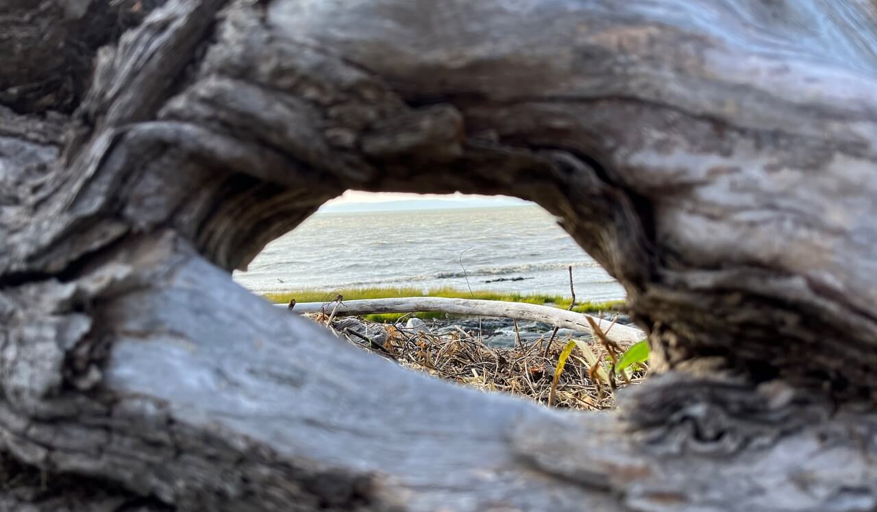 Mettre En Avant Plan Le Meilleur