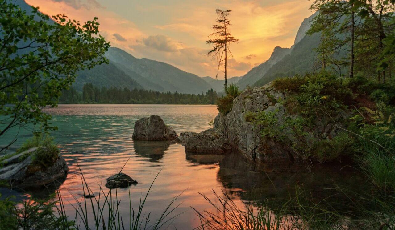 Camino A La Calma, Gestiona tu ansiedad