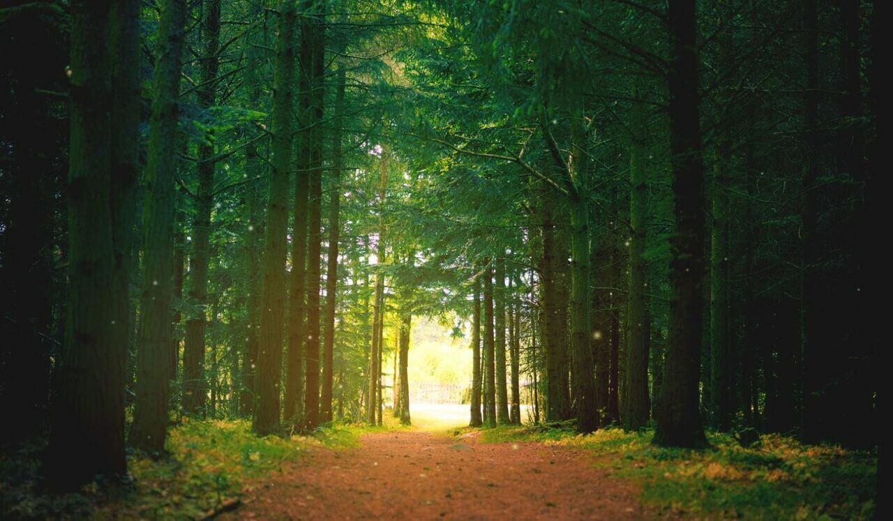 Walking A New Street: A Meditation On Change