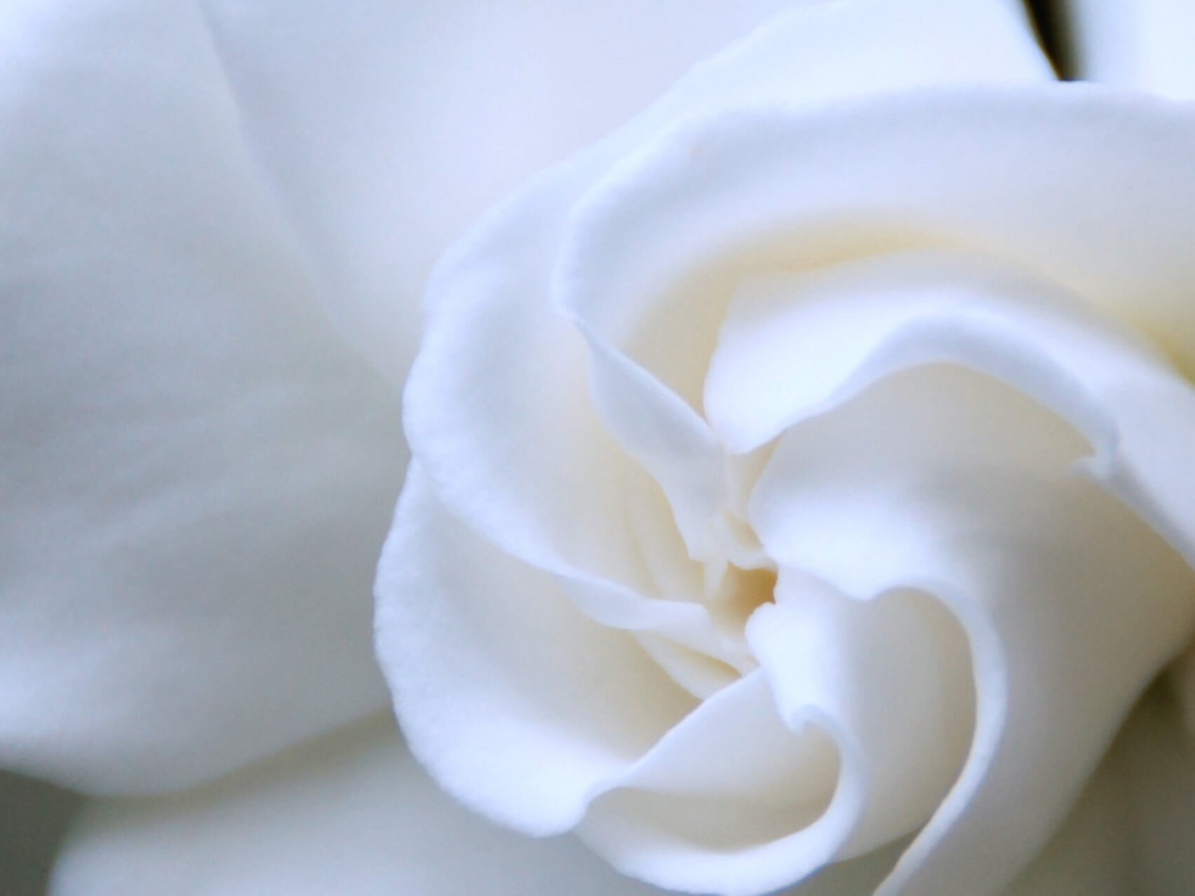 Delta Waves For Deep Healing